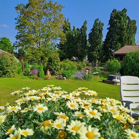 Cosy B&B 2B Overijse Εξωτερικό φωτογραφία